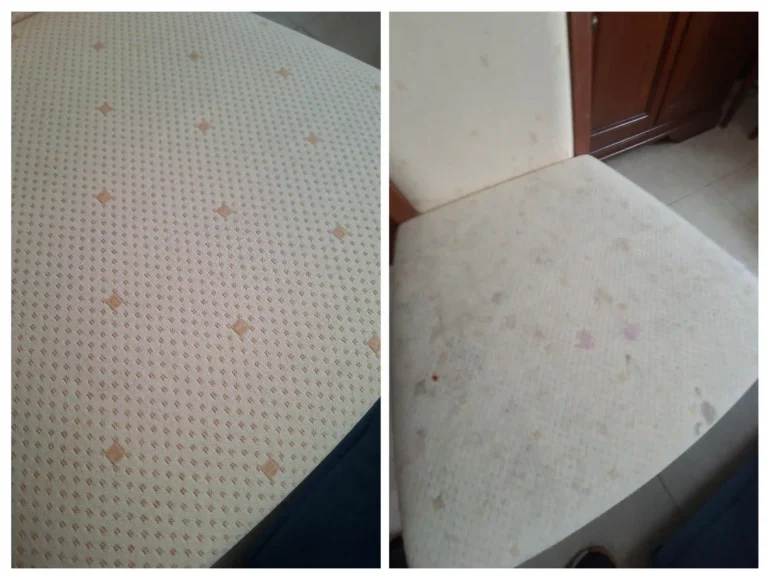 efekt czyszczenia karcher zawszeczysto.pl wynik