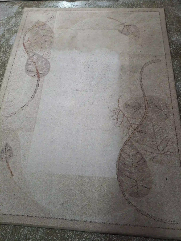 efekt pranie dywanów poznan w pralni wynik